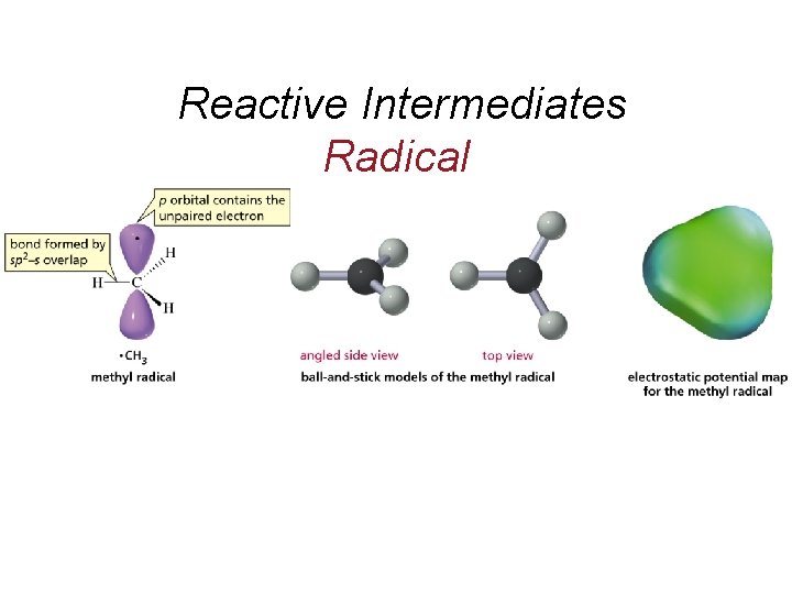 Reactive Intermediates Radical 