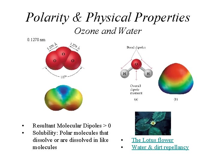 Polarity & Physical Properties Ozone and Water 0. 1278 nm • • Resultant Molecular