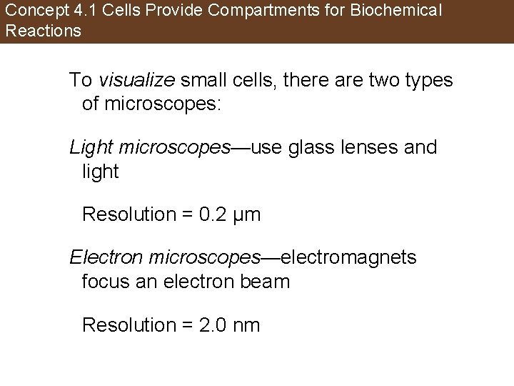 Concept 4. 1 Cells Provide Compartments for Biochemical Reactions To visualize small cells, there