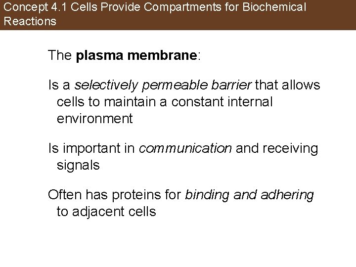Concept 4. 1 Cells Provide Compartments for Biochemical Reactions The plasma membrane: Is a