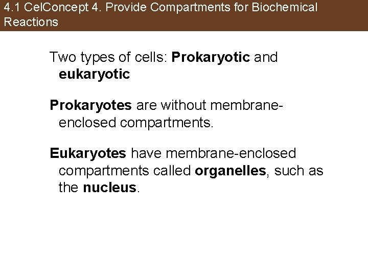 4. 1 Cel. Concept 4. Provide Compartments for Biochemical Reactions Two types of cells: