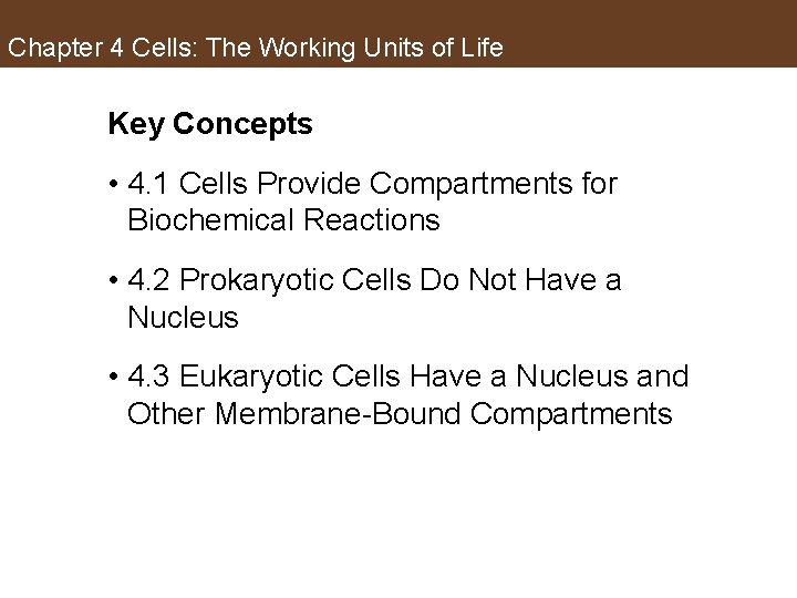 Chapter 4 Cells: The Working Units of Life Key Concepts • 4. 1 Cells