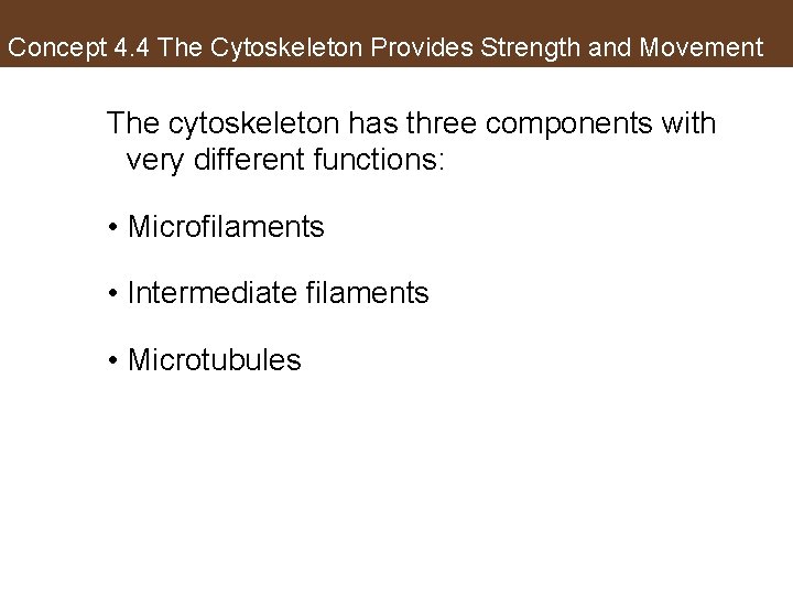 Concept 4. 4 The Cytoskeleton Provides Strength and Movement The cytoskeleton has three components