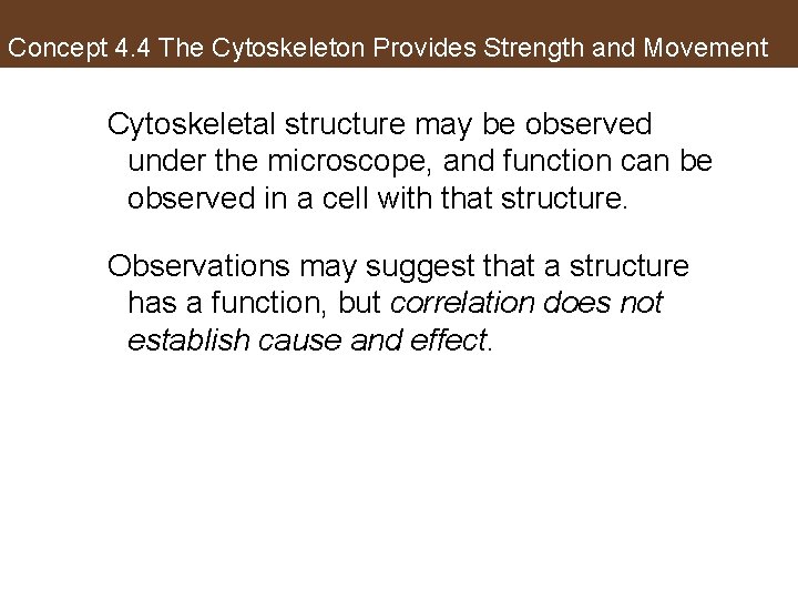 Concept 4. 4 The Cytoskeleton Provides Strength and Movement Cytoskeletal structure may be observed
