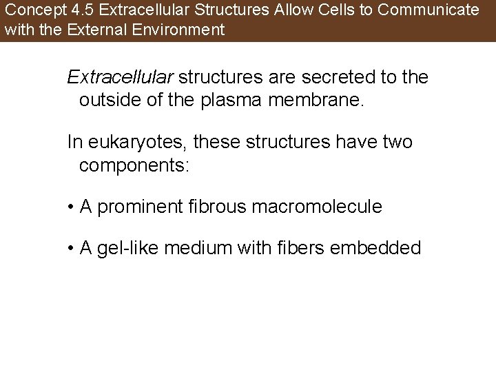 Concept 4. 5 Extracellular Structures Allow Cells to Communicate with the External Environment Extracellular