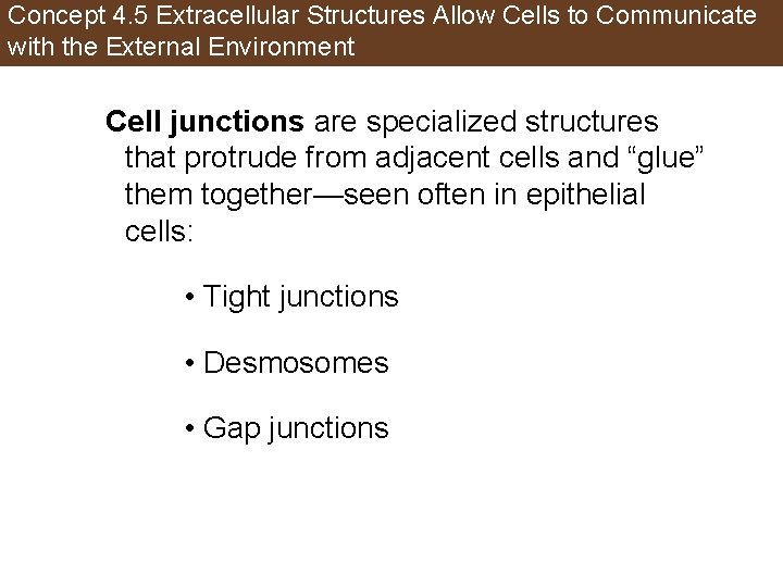 Concept 4. 5 Extracellular Structures Allow Cells to Communicate with the External Environment Cell