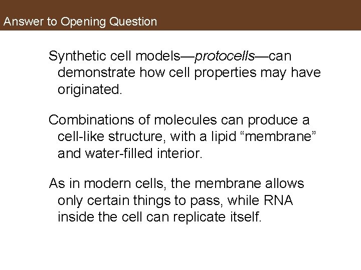 Answer to Opening Question Synthetic cell models—protocells—can demonstrate how cell properties may have originated.