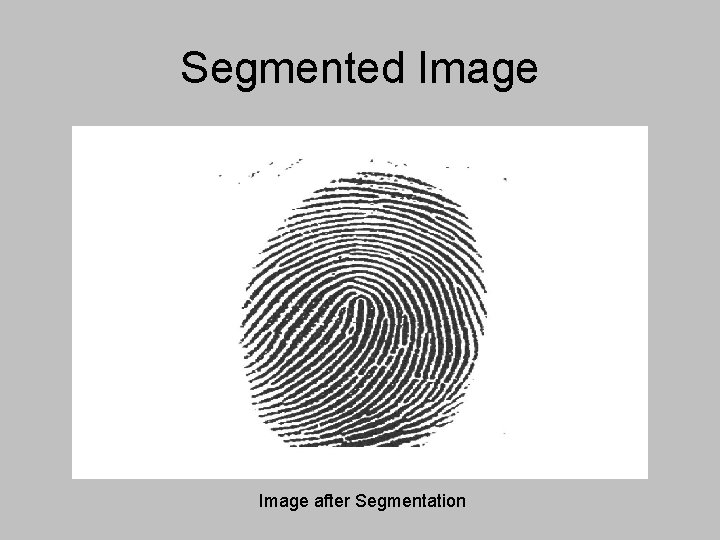 Segmented Image after Segmentation Segmented Image after Segmentation