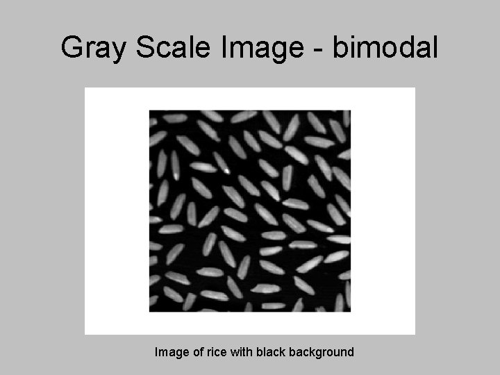 Gray Scale Image - bimodal Image of rice with black background Gray Scale Image - bimodal Image of rice with black background