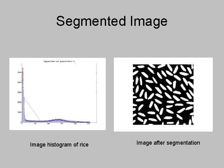 Segmented Image histogram of rice Image after segmentation Segmented Image histogram of rice Image after segmentation