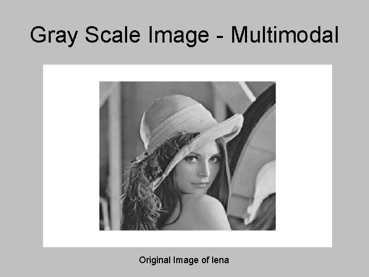 Gray Scale Image - Multimodal Original Image of lena Gray Scale Image - Multimodal Original Image of lena