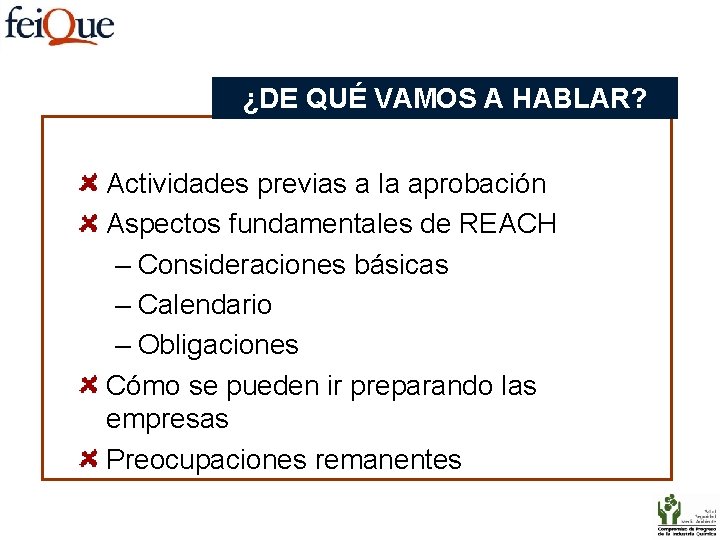 ¿DE QUÉ VAMOS A HABLAR? Actividades previas a la aprobación Aspectos fundamentales de REACH