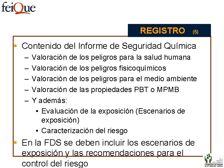 REGISTRO (5) § Contenido del Informe de Seguridad Química – – – Valoración de