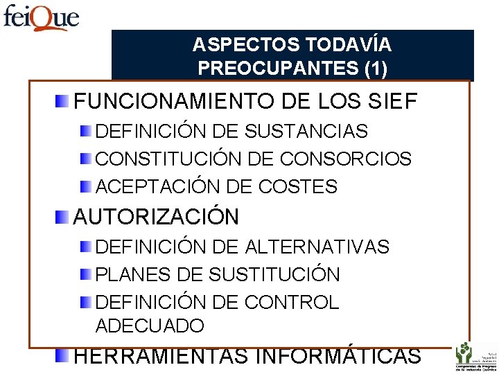 ASPECTOS TODAVÍA PREOCUPANTES (1) FUNCIONAMIENTO DE LOS SIEF DEFINICIÓN DE SUSTANCIAS CONSTITUCIÓN DE CONSORCIOS