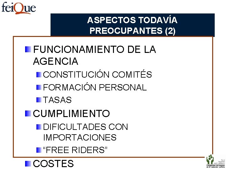 ASPECTOS TODAVÍA PREOCUPANTES (2) FUNCIONAMIENTO DE LA AGENCIA CONSTITUCIÓN COMITÉS FORMACIÓN PERSONAL TASAS CUMPLIMIENTO
