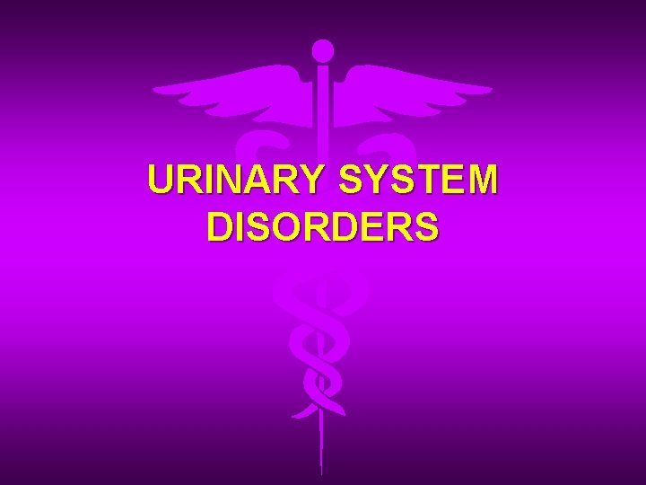 URINARY SYSTEM DISORDERS 