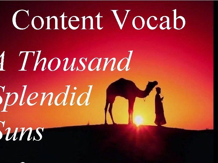Content Vocab A Thousand Splendid Suns 