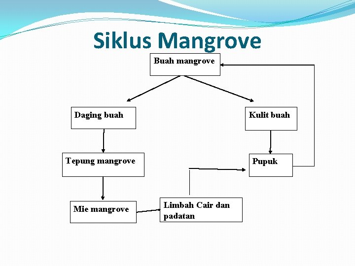 Siklus Mangrove Buah mangrove Daging buah Kulit buah Tepung mangrove Mie mangrove Pupuk Limbah
