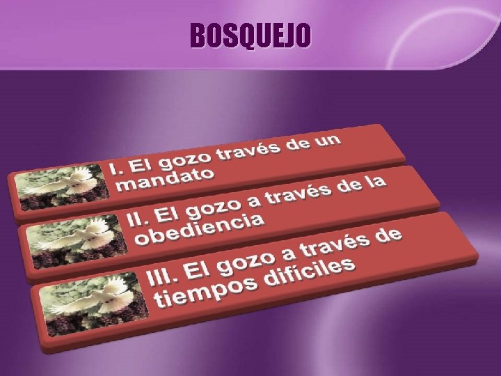 BOSQUEJO 