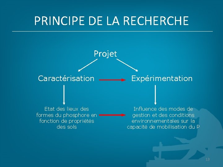 PRINCIPE DE LA RECHERCHE Projet Caractérisation Expérimentation Etat des lieux des formes du phosphore