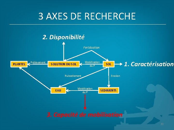 3 AXES DE RECHERCHE 2. Disponibilité Fertilisation PLANTES Prélèvement Mobilisation du P SOLUTION DU