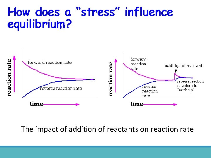 How does a “stress” influence equilibrium? The impact of addition of reactants on reaction