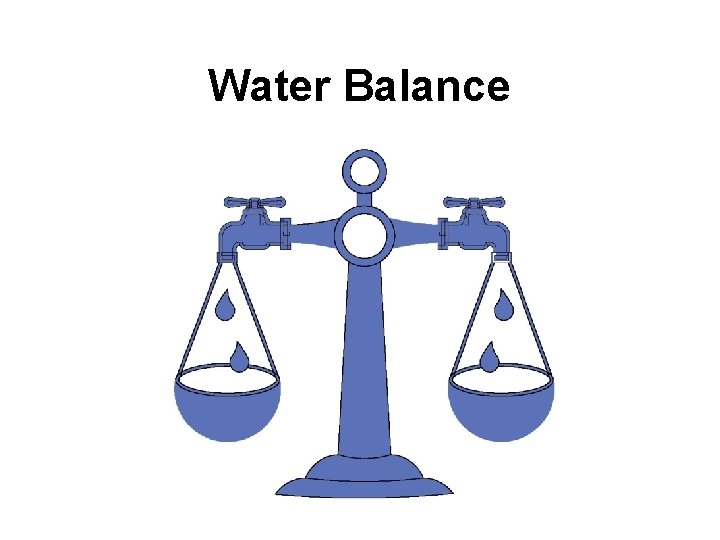 Water Balance 