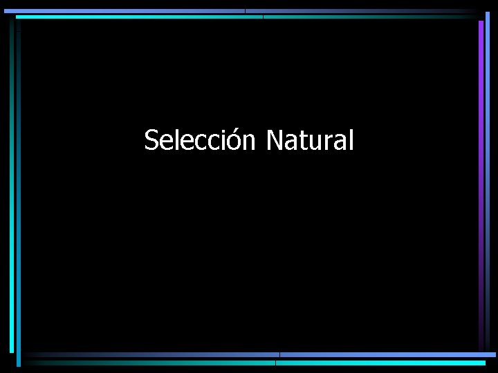 Selección Natural 