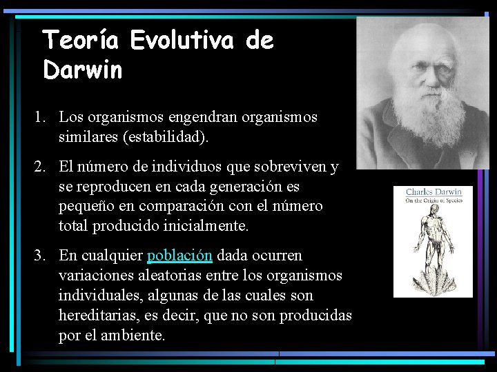 Teoría Evolutiva de Darwin 1. Los organismos engendran organismos similares (estabilidad). 2. El número