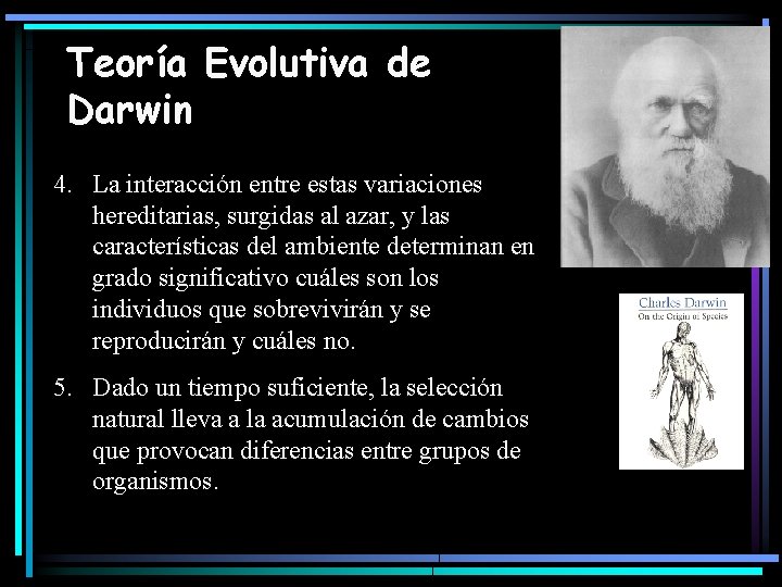 Teoría Evolutiva de Darwin 4. La interacción entre estas variaciones hereditarias, surgidas al azar,