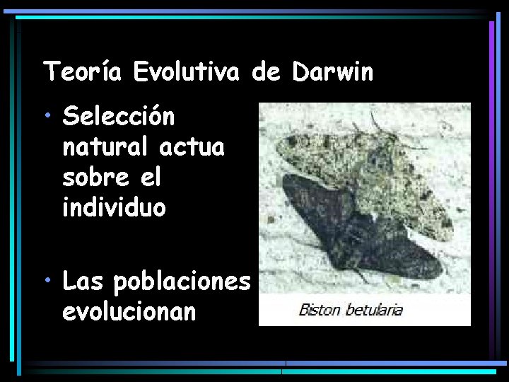 Teoría Evolutiva de Darwin • Selección natural actua sobre el individuo • Las poblaciones