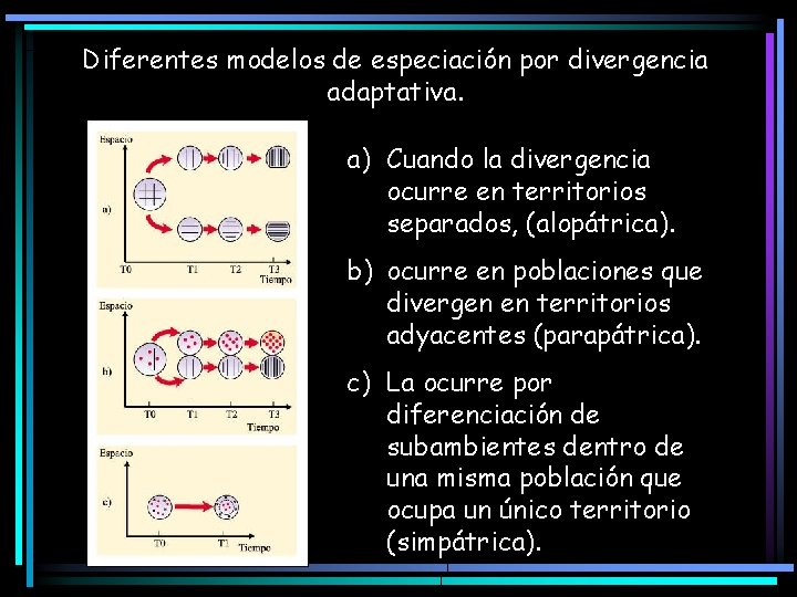 Diferentes modelos de especiación por divergencia adaptativa. a) Cuando la divergencia ocurre en territorios