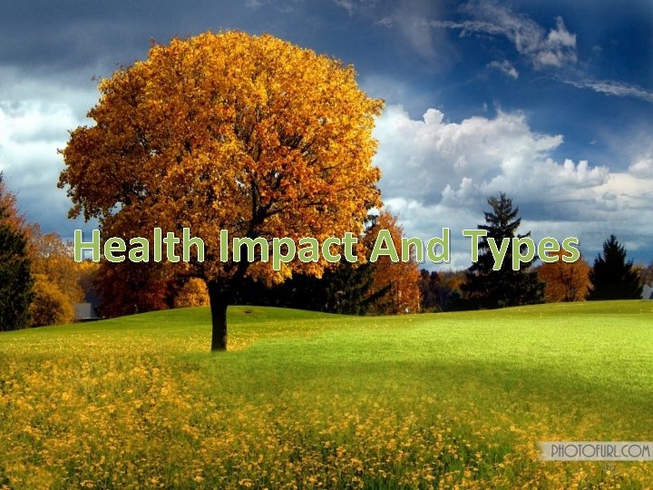Health Impact And Types 14 