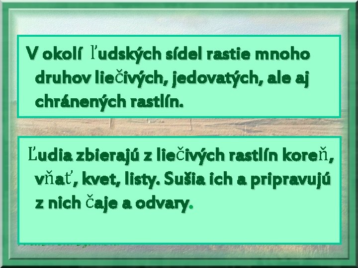 V okolí ľudských sídel rastie mnoho druhov liečivých, jedovatých, ale aj chránených rastlín. Ľudia