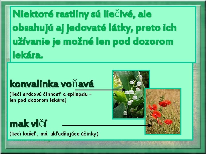 Niektoré rastliny sú lieč lie ivé, ale obsahujú aj jedovaté látky, preto ich užívanie