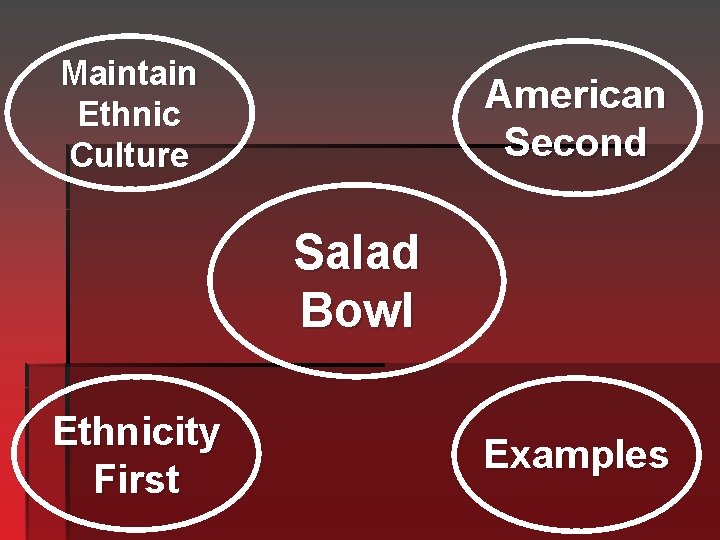 Maintain Ethnic Culture American Second Salad Bowl Ethnicity First Examples 