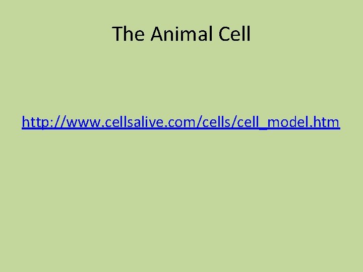 The Animal Cell http: //www. cellsalive. com/cells/cell_model. htm 