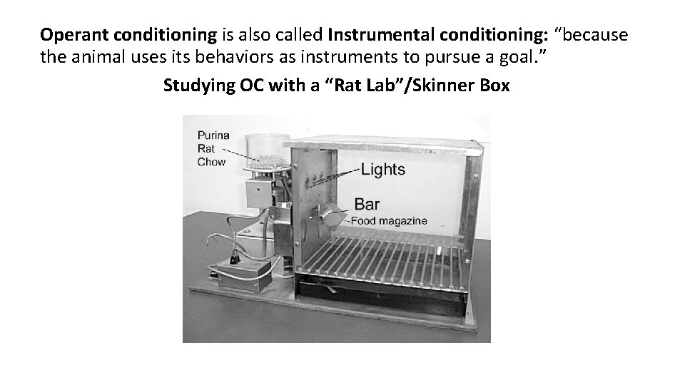 Operant conditioning is also called Instrumental conditioning: “because the animal uses its behaviors as