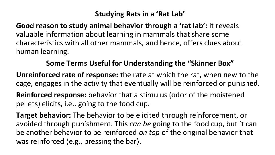 Studying Rats in a ‘Rat Lab’ Good reason to study animal behavior through a