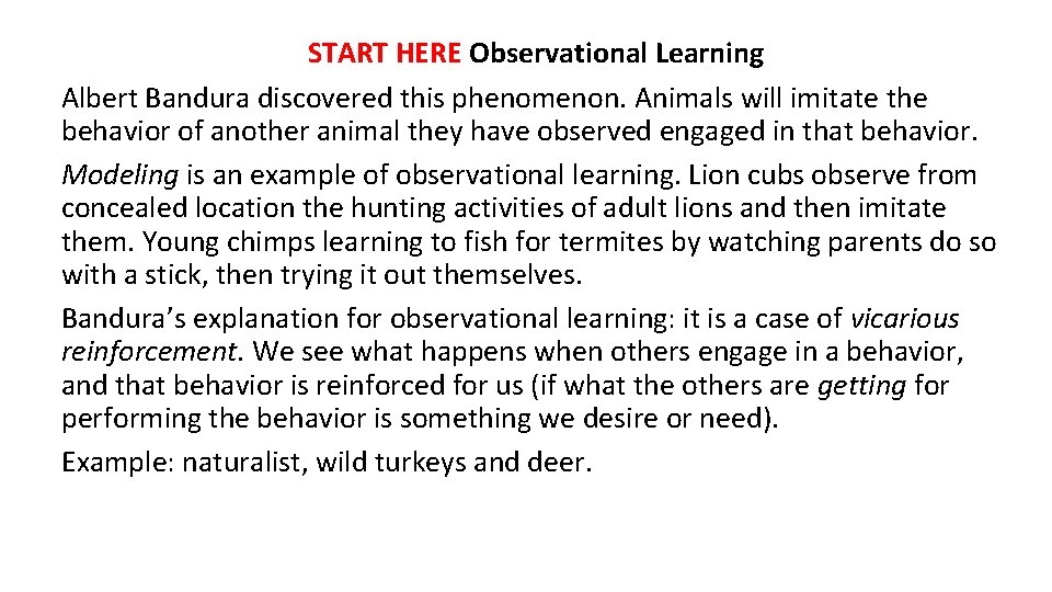 START HERE Observational Learning Albert Bandura discovered this phenomenon. Animals will imitate the behavior