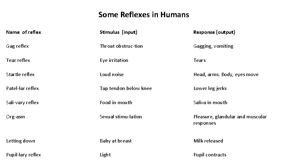Some Reflexes in Humans Name of reflex Stimulus (input) Response (output) Gag reflex Throat