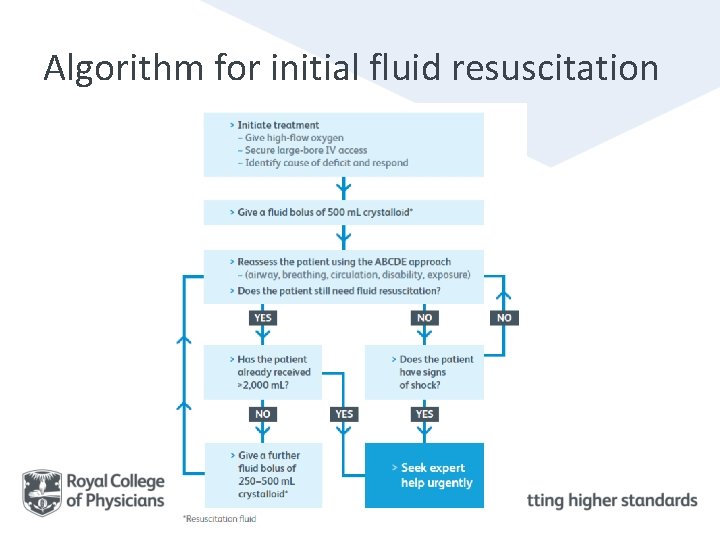 Algorithm for initial fluid resuscitation 