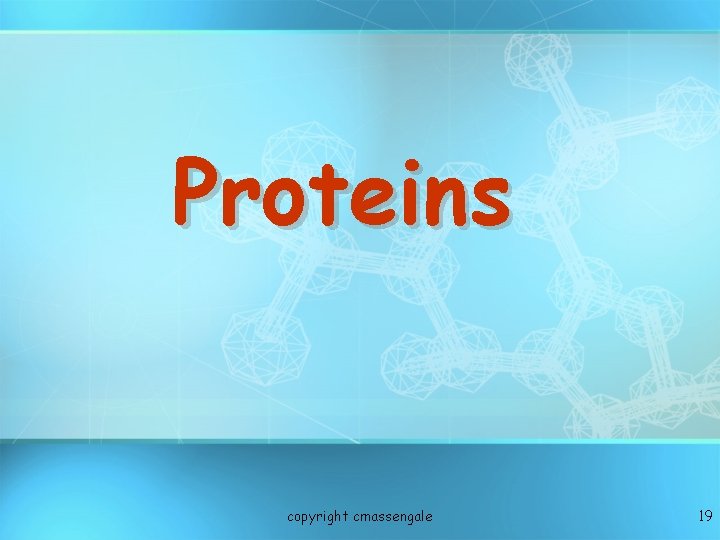 Proteins copyright cmassengale 19 