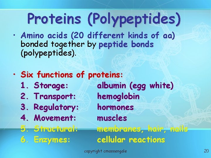 Proteins (Polypeptides) • Amino acids (20 different kinds of aa) bonded together by peptide