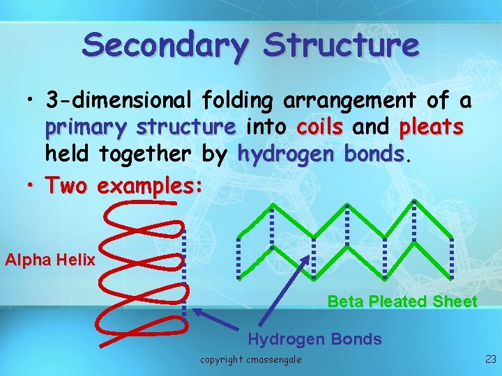 Secondary Structure • 3 -dimensional folding arrangement of a primary structure into coils and