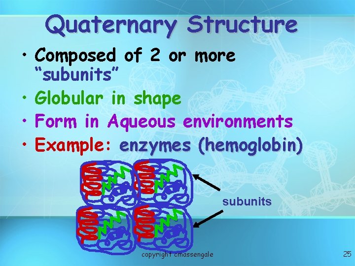 Quaternary Structure • Composed of 2 or more “subunits” • Globular in shape •