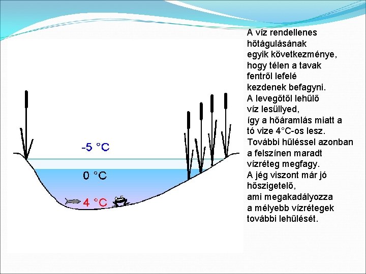 A víz rendellenes hőtágulásának egyik következménye, hogy télen a tavak fentről lefelé kezdenek befagyni.