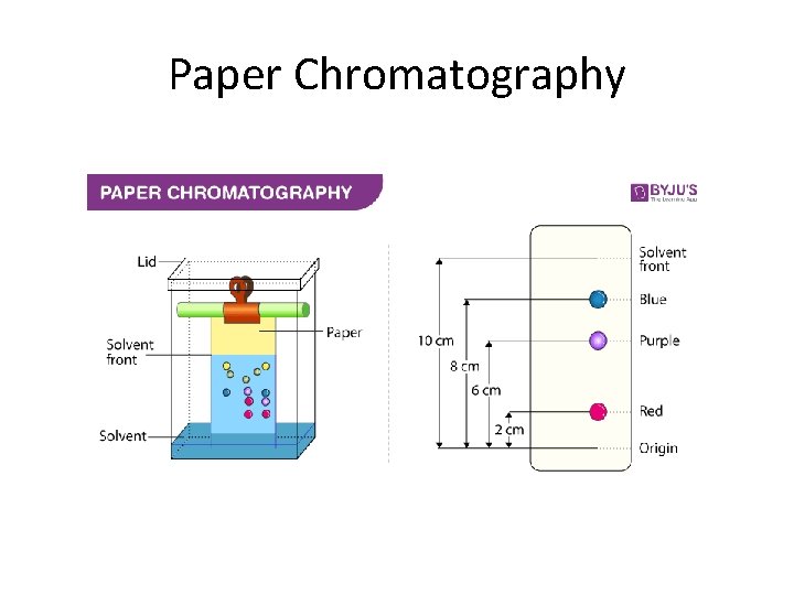 Paper Chromatography 