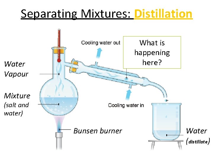 Separating Mixtures: Distillation What is happening here? Water Vapour Mixture (salt and water) Bunsen