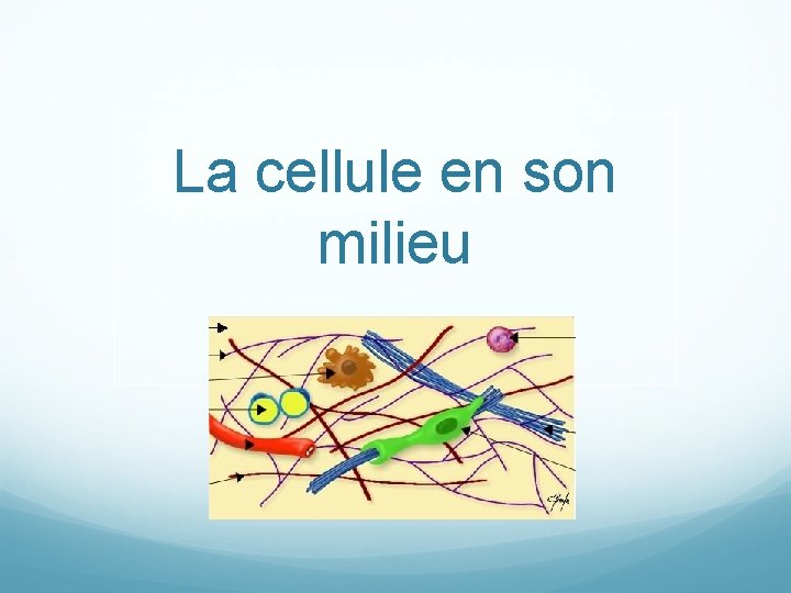 La cellule en son milieu 